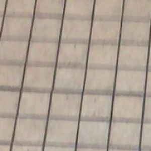 Meet your Posher, Maddy